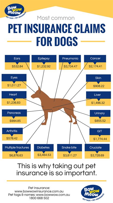 dog insurance over 8 years.